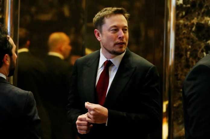 elon musk