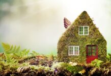 How To Be More Eco-Friendly At Home?