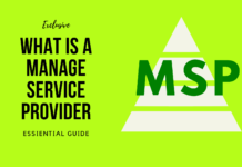 What Is a Managed Service Provider(MSP): The Essential Guide