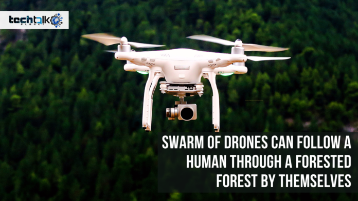 Swarm of drones can follow a human through a forested forest by themselves